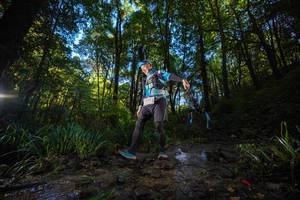 BIB: 
                            <button type="button" onclick="openModal(19230700)" class="btn btn-primary btn-sm float-right btn-popup" data-toggle="modal" data-target=".modal-high-quality">
                        <i class="fas fa-shopping-cart"></i> Add to Cart
                    </button>
                                            <button type="button" onclick="isThisMe(19230700, true)" class="btn btn-success btn-sm float-right btn-popup btn-isme hidden" data-toggle="tooltip" data-placement="bottom" title="นี่คือรูปของคุณใช่ไหม คลิกที่นี่เพื่อเอาเข้าอัลบั้ม">
                        <i class="fas fa-plus"></i> Add to album
                    </button>
                    <button type="button" onclick="isThisMe(19230700, false)" class="btn btn-warning btn-sm float-right btn-popup btn-isnotme hidden">
                        <i class="fas fa-ban"></i> Remove from album
                    </button>